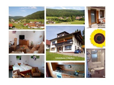 Apartment Ferienwohnung Günther - Outdoor photo 8