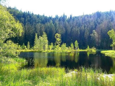 Apartment Ferienwohnung Günther - Outdoor photo 13