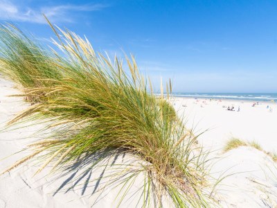 Holiday apartment Olivier - Environment photo 25