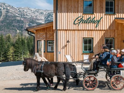 Apartment Salzkammergut Plus - Outdoor photo 54