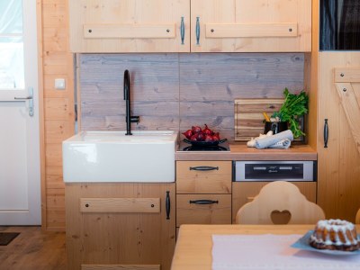 Apartment Salzkammergut Plus - Features photo 96