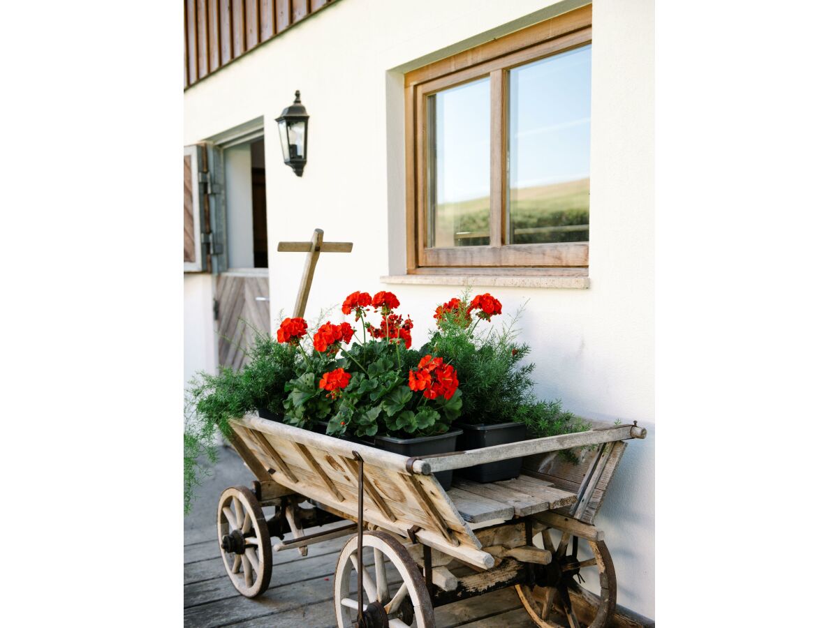 Apartment Naturwohnung - Outdoor photo 5