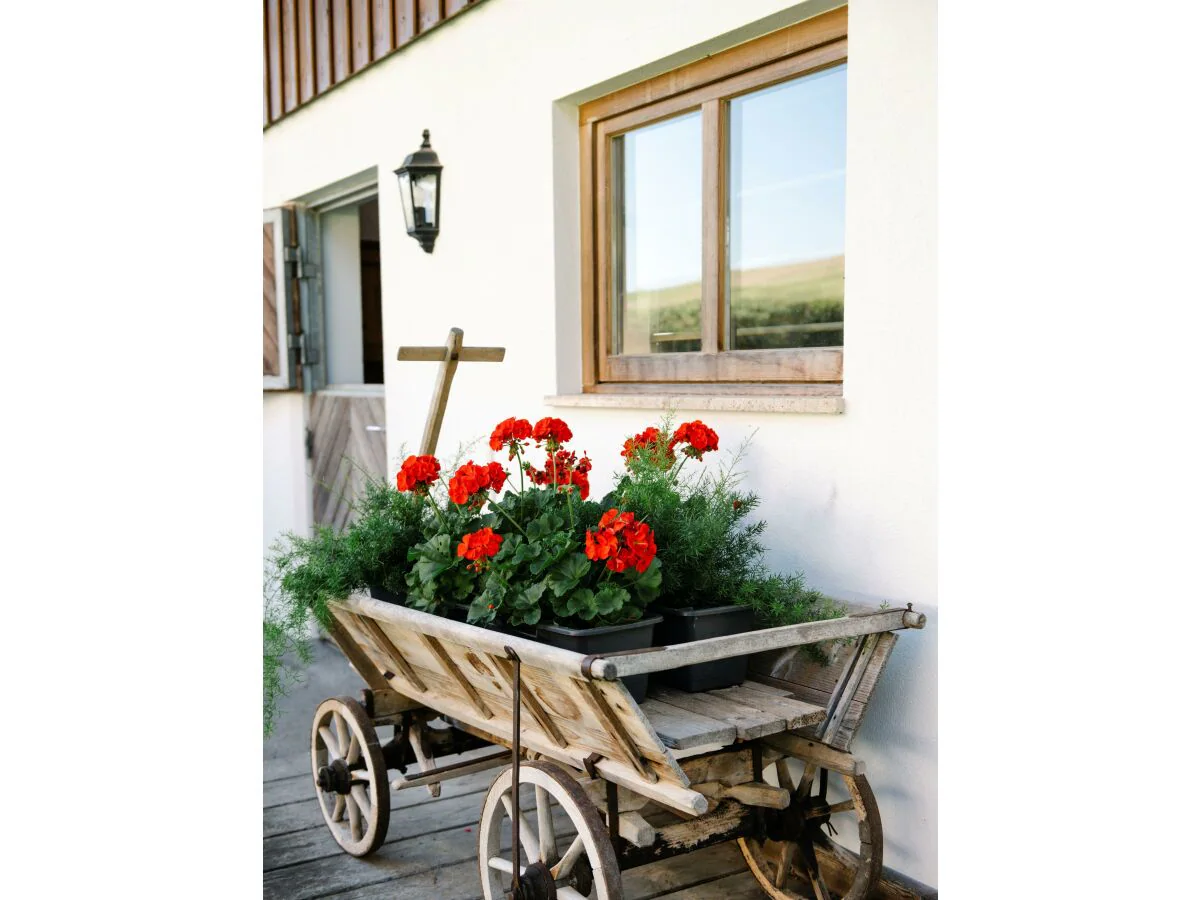 Apartment Familien - Naturwohnung - Outdoor photo 5