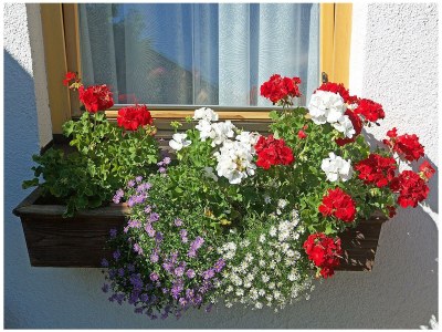 Apartment Ferienwohnung Maria - Outdoor photo 10