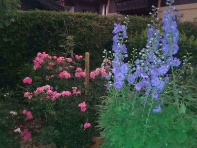 Apartment Ferienwohnung Maria - Outdoor photo 15