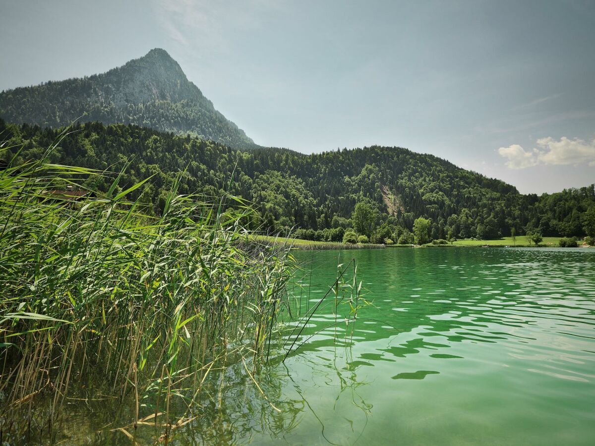 Apartment Apartment Seeblick - Outdoor photo 4