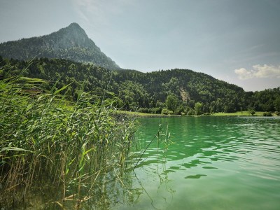 Apartment Apartment Seeblick - Outdoor photo 4