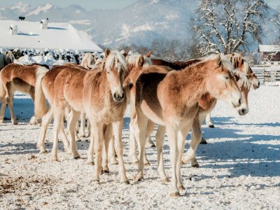 Apartment Apartment Seeblick - Outdoor photo 15