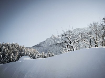 Apartment Apartment Seeblick - Outdoor photo 25