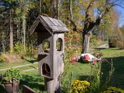 Apartment Binderhäusl - Outdoor photo 12