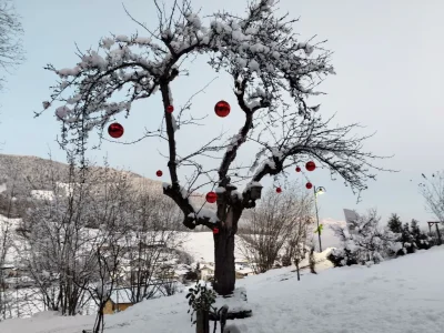 Apartment Binderhäusl - Outdoor photo 26