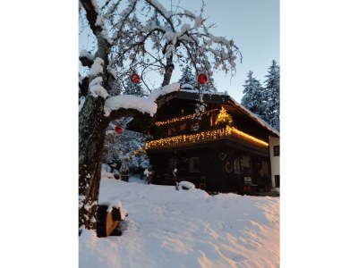 Apartment Binderhäusl - Outdoor photo 27