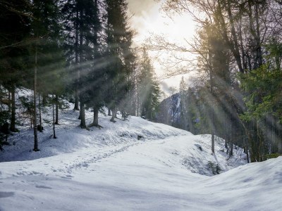 Apartment Ferienwohnung 3 Schlafzimmer Dachterrasse - Outdoor photo 15