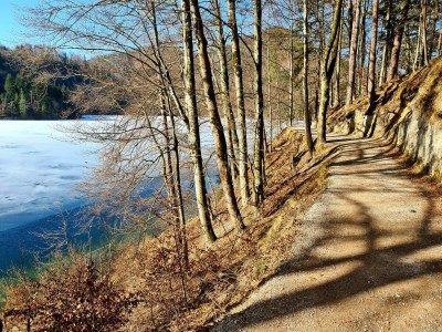 Apartment Apartment Garten Terrasse - Outdoor photo 17
