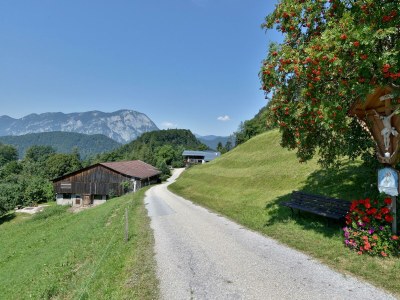 Apartment Ferienwohnung Pendlingblick 4**** - Outdoor photo 14