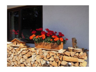 Apartment Ferienwohnung Pendlingblick 4**** - Outdoor photo 22