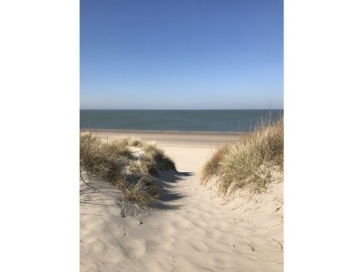 Villa with Pool - Environment photo 33