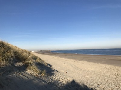 Villa with Pool - Environment photo 34