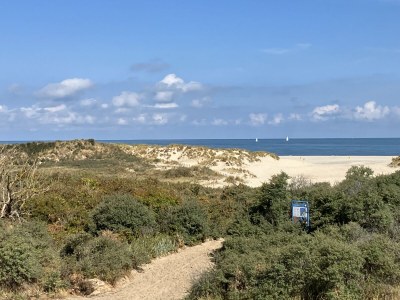 Villa with Pool - Environment photo 36