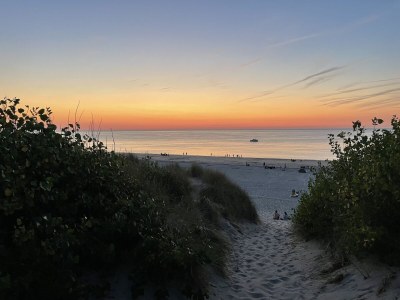 Villa with Pool - Environment photo 37