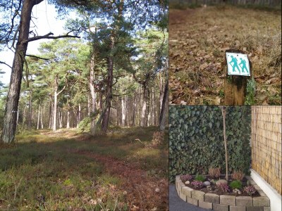 Holiday apartment Schwalbenweg - Environment photo 15