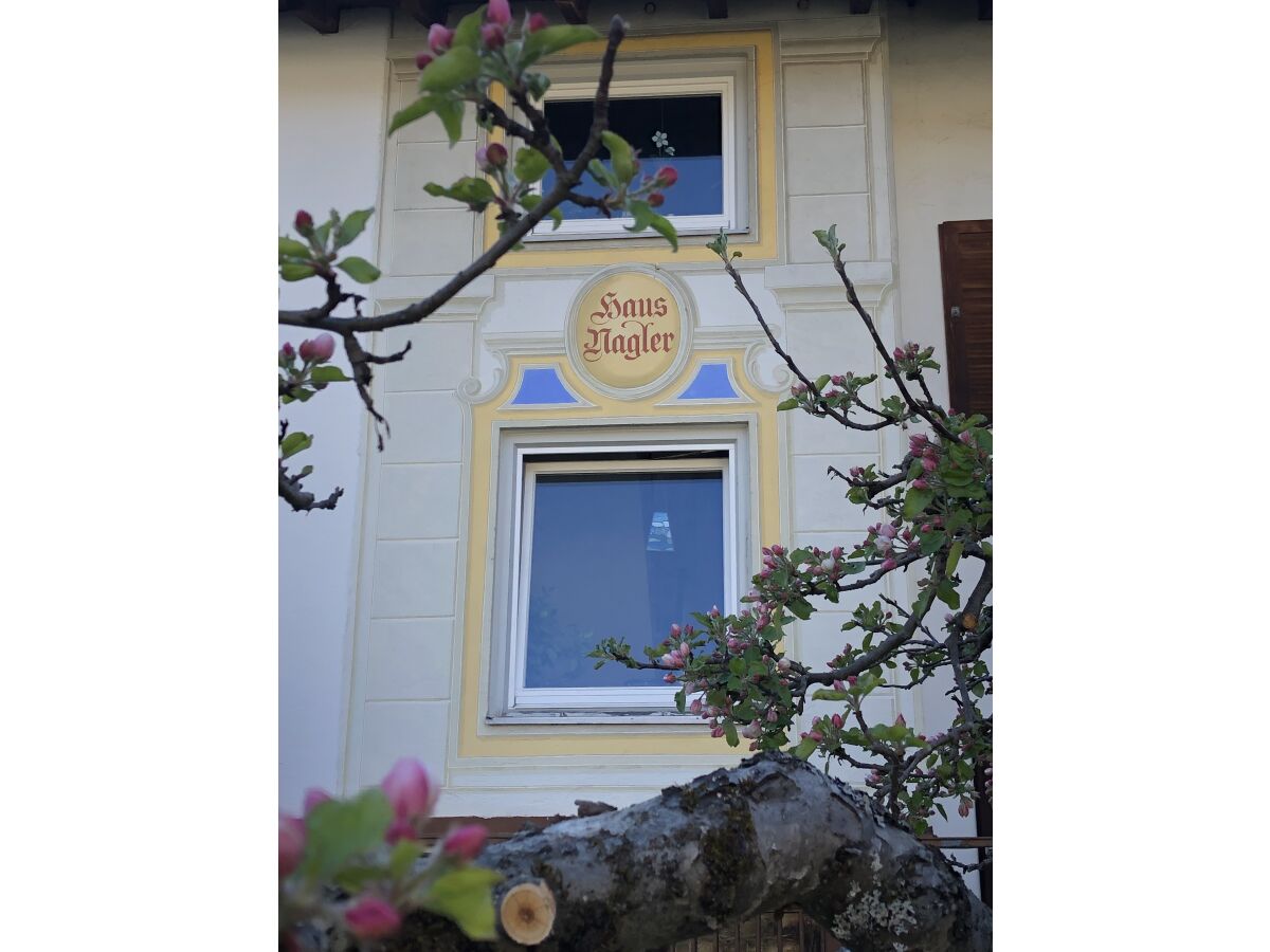 Holiday apartment Enzian Haus Nagler - Outdoor photo 3