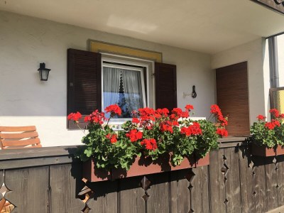 Holiday apartment Enzian Haus Nagler - Outdoor photo 6