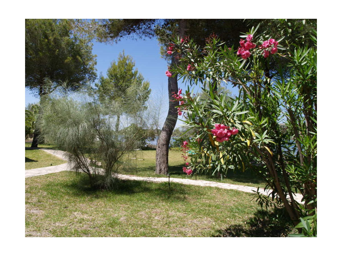 Holiday house At Lake Esperanza - Outdoor photo 5