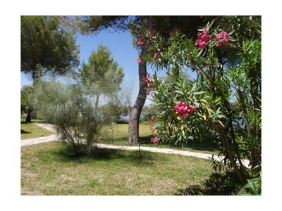 Holiday house At Lake Esperanza - Outdoor photo 5