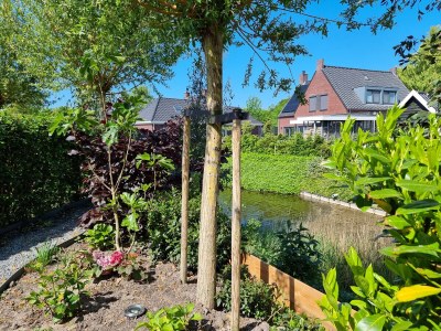 Holiday house MB02 Holiday Home The Little Fox - Outdoor photo 8