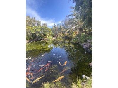 Holiday apartment Penthouse Oceanview Granada - Environment photo 37