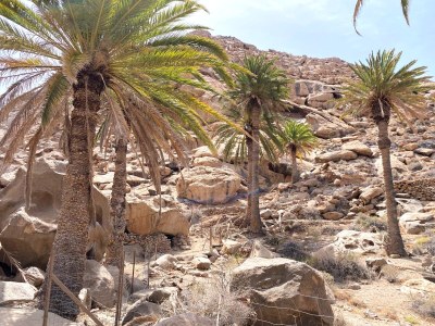 Holiday apartment Penthouse Oceanview Granada - Environment photo 38