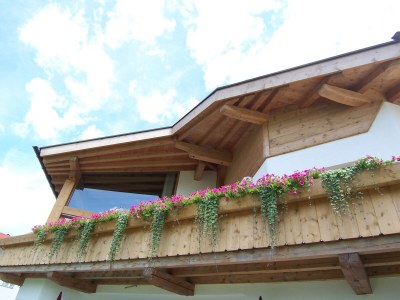 Holiday apartment BergRAICH - Outdoor photo 5