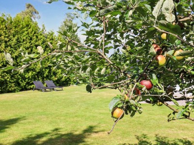 Holiday house Cozy Cottage Retreat in Marielyst-By Traum - Outdoor photo 29