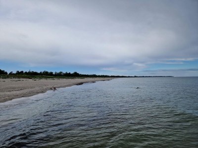 Holiday house Cozy Cottage Retreat in Marielyst-By Traum - Outdoor photo 34