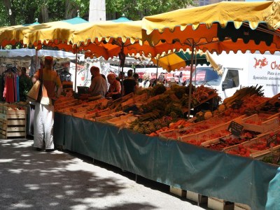 Farmhouse Luxurious Farmhouse in Braize - Environment photo 22