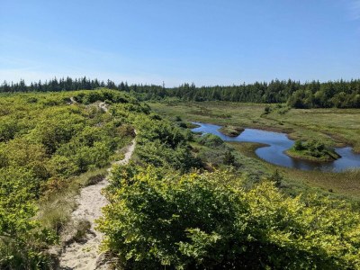 Holiday house Renovierter Ruckzug mit Pool -- By Traum Ferienwohnungen - Outdoor photo 9