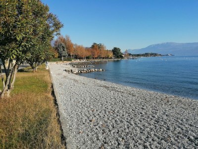 Holiday apartment Sunflower Apartment - Environment photo 26