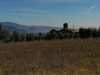 Holiday apartment Sunflower Apartment - Environment photo 29