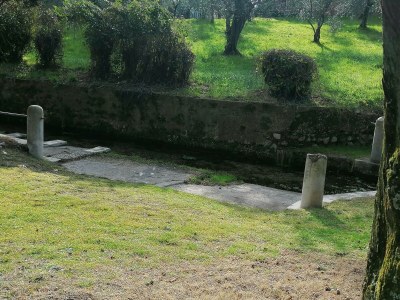 Holiday apartment Sunflower Apartment - Environment photo 33