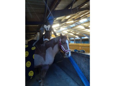 Holiday house Us: Strandhus “smile” - Outdoor photo 6