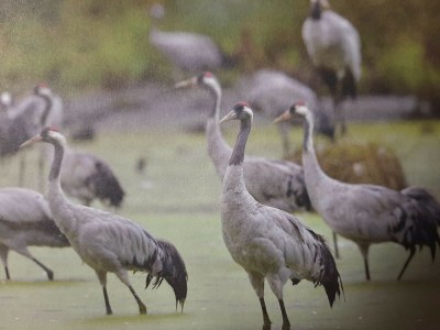 Holiday house Us: Strandhus “smile” - Environment photo 22