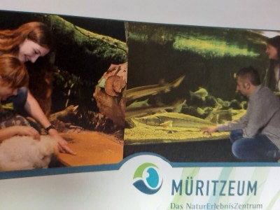 Holiday house Us: Strandhus “smile” - Environment photo 24