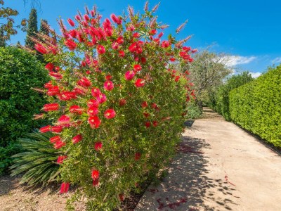 Villa Ca Na Sioneta - Outdoor photo 21