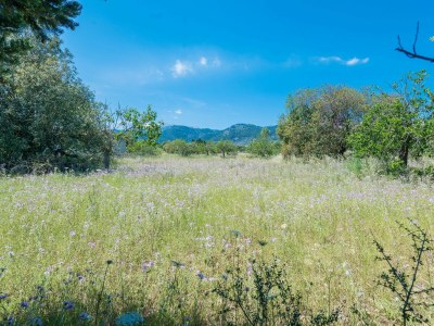 Villa Ca Na Sioneta - Outdoor photo 30