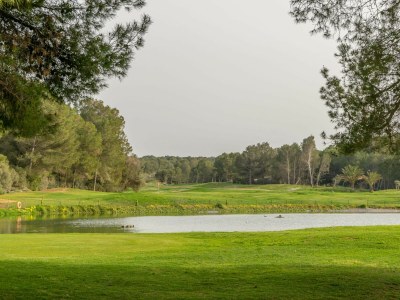 Holiday apartment 12 person holiday home in Ebeltoft - Environment photo 45