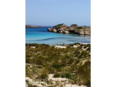 Holiday apartment 12 person holiday home in Ebeltoft - Outdoor photo 51