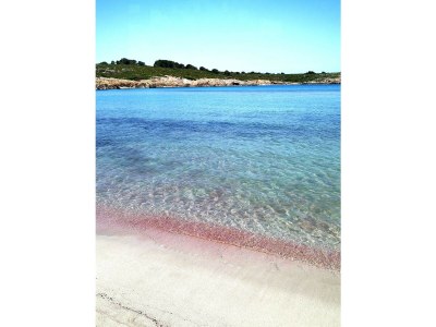 Holiday apartment 12 person holiday home in Ebeltoft - Outdoor photo 52