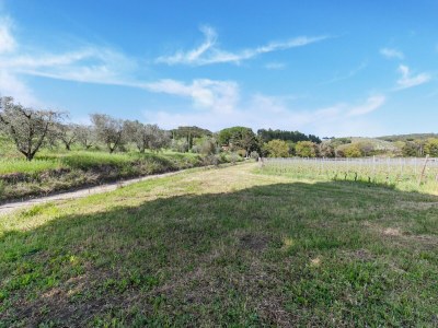 Apartment Ruhige Wohnung in Riparbella mit Garten - Environment photo 27