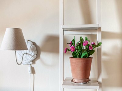 Apartment Ruhige Wohnung in Riparbella mit Garten - Outdoor photo 31